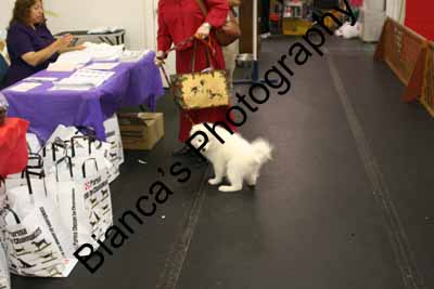 IMG 09578