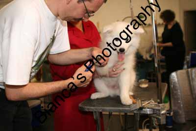 IMG 09582