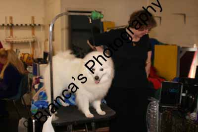 IMG 09585