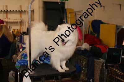IMG 09587