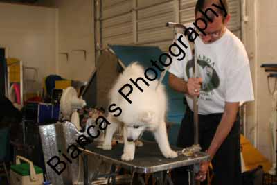 IMG 09594