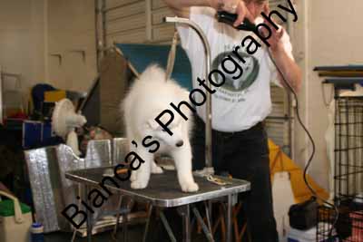 IMG 09595