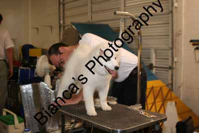 IMG 09603