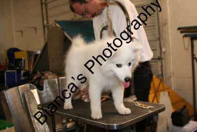 IMG 09605