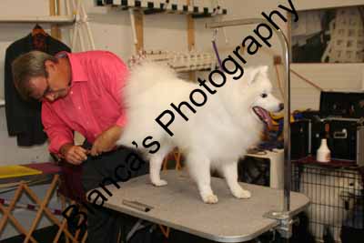 IMG 09611