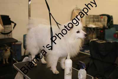 IMG 09639