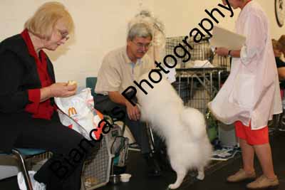 IMG 09646