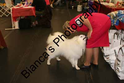 IMG 09662