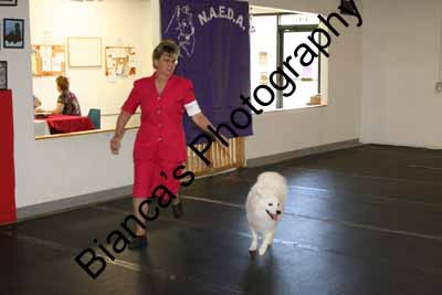 IMG 09678