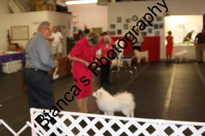 IMG 09730