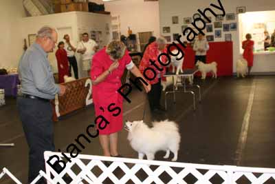 IMG 09731