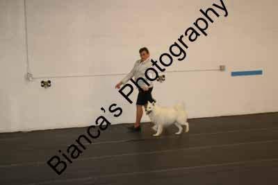 IMG 09751