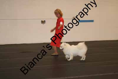 IMG 09757