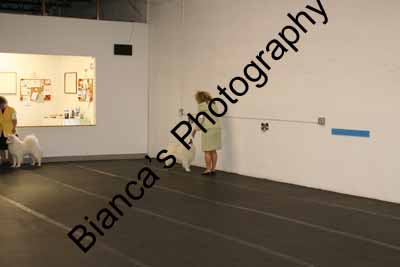 IMG 09782