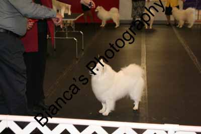 IMG 09797