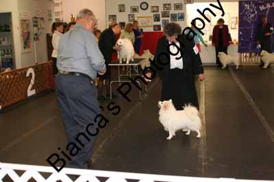 IMG 09821