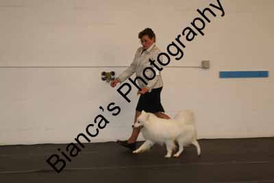 IMG 09832