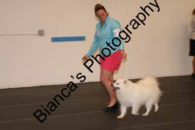 IMG 09835