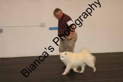 IMG 09886