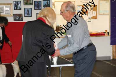 IMG 09956