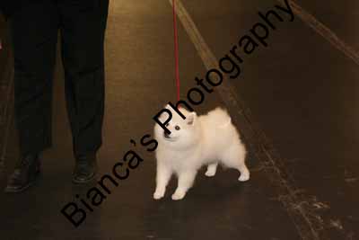 IMG 09965