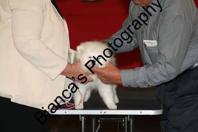 IMG 09970