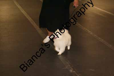 IMG 09983