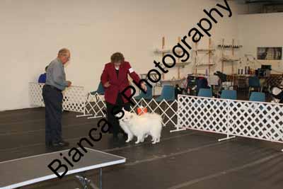 IMG 09994