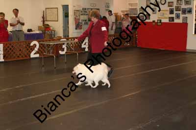 IMG 10005